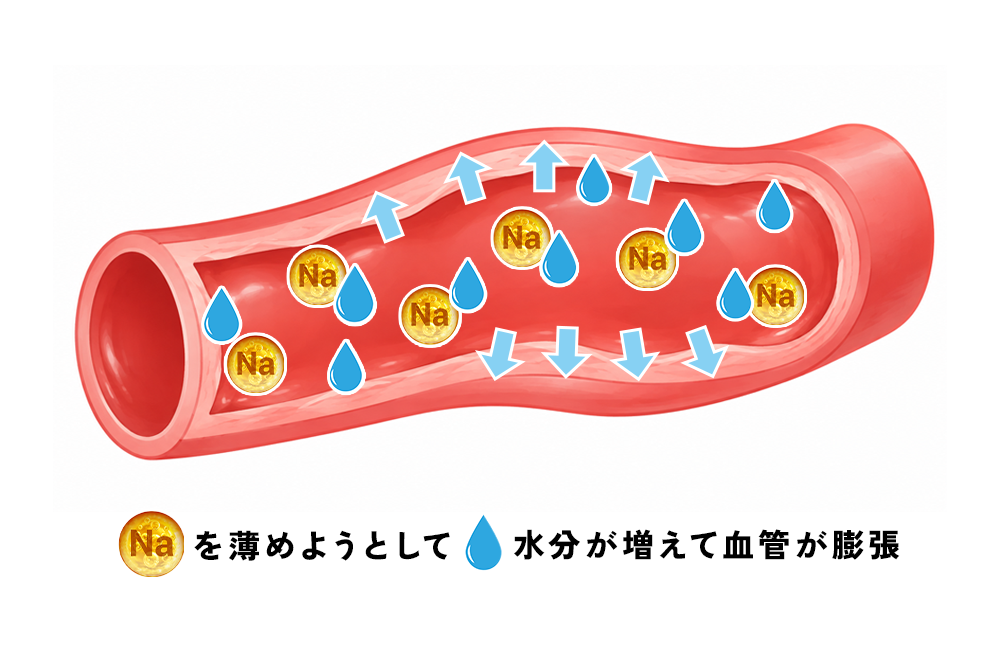 塩分によって血圧が上がるメカニズムの図